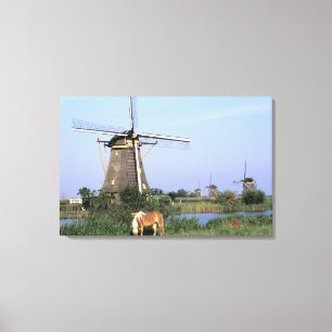 Europa, Nederländerna, Zuid Holland, Kinderdijk. 2 Canvastryck