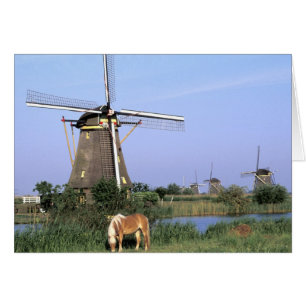Europa, Nederländerna, Zuid Holland, Kinderdijk. 2 Hälsningskort