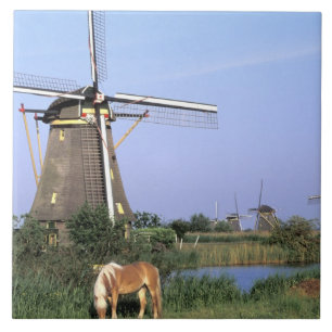 Europa, Nederländerna, Zuid Holland, Kinderdijk. 2 Kakelplatta