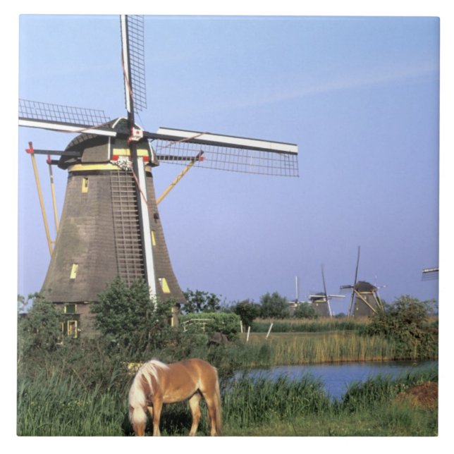 Europa, Nederländerna, Zuid Holland, Kinderdijk. 2 Kakelplatta (Framsidan)