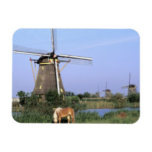 Europa, Nederländerna, Zuid Holland, Kinderdijk. 2 Magnet