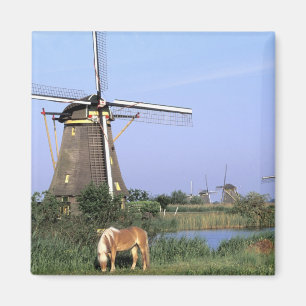 Europa, Nederländerna, Zuid Holland, Kinderdijk. 2 Magnet
