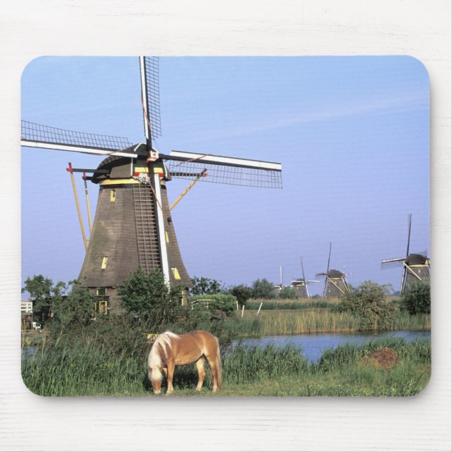 Europa, Nederländerna, Zuid Holland, Kinderdijk. 2 Musmatta (Framsidan)