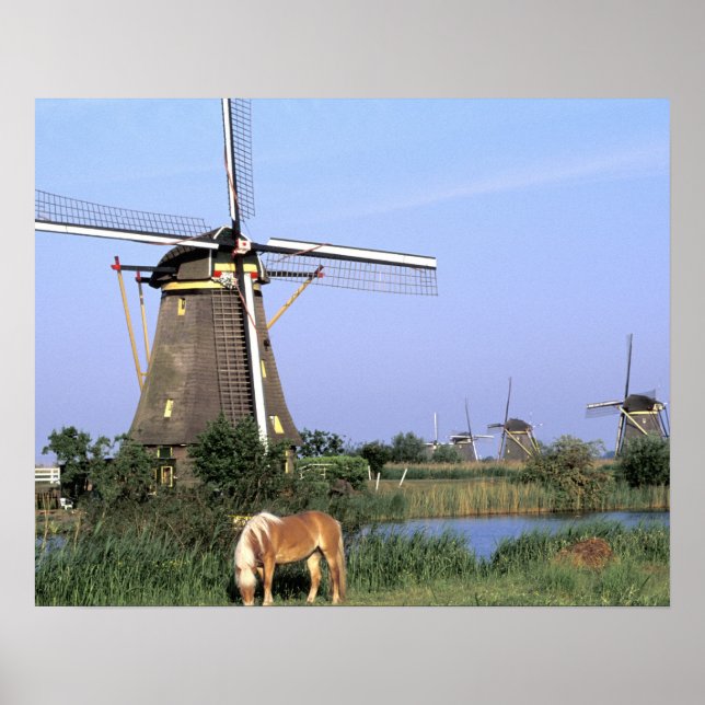 Europa, Nederländerna, Zuid Holland, Kinderdijk. 2 Poster (Framsidan)