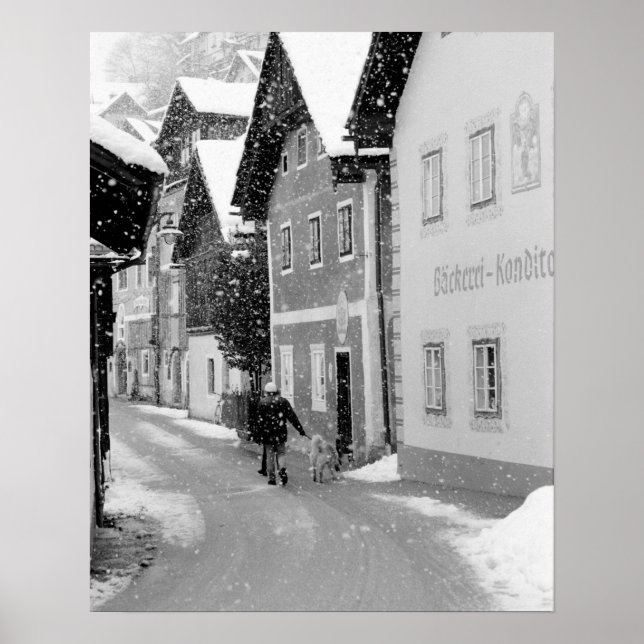 Europa, Österrike, Hallstat. Snigågatan Poster (Framsidan)