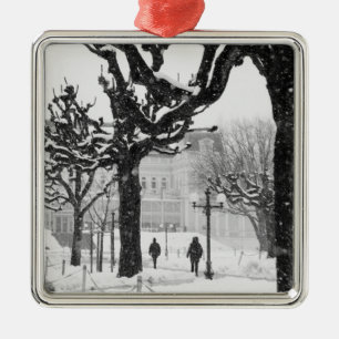 Europa, Österrike, Salzburg. Vinter, Julgransprydnad Metall