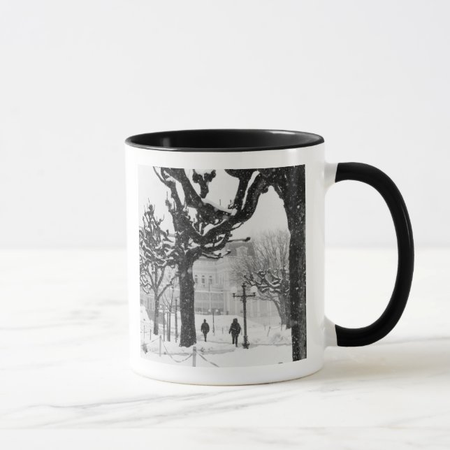 Europa, Österrike, Salzburg. Vinter, Mugg (Höger)