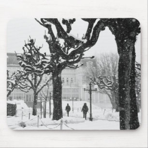 Europa, Österrike, Salzburg. Vinter, Musmatta