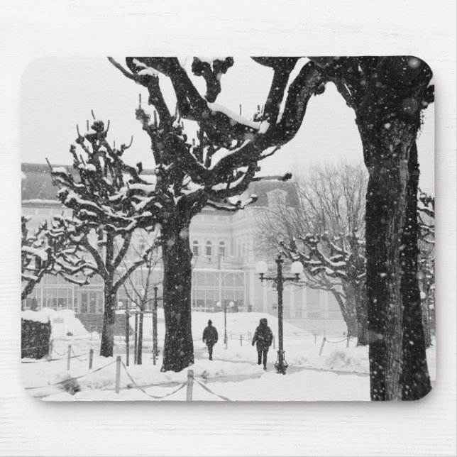 Europa, Österrike, Salzburg. Vinter, Musmatta (Framsidan)