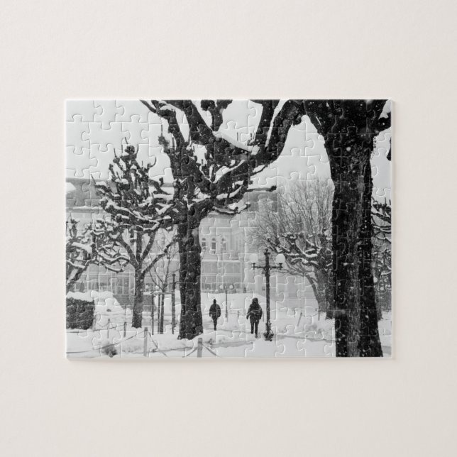 Europa, Österrike, Salzburg. Vinter, Pussel (Horisontell)