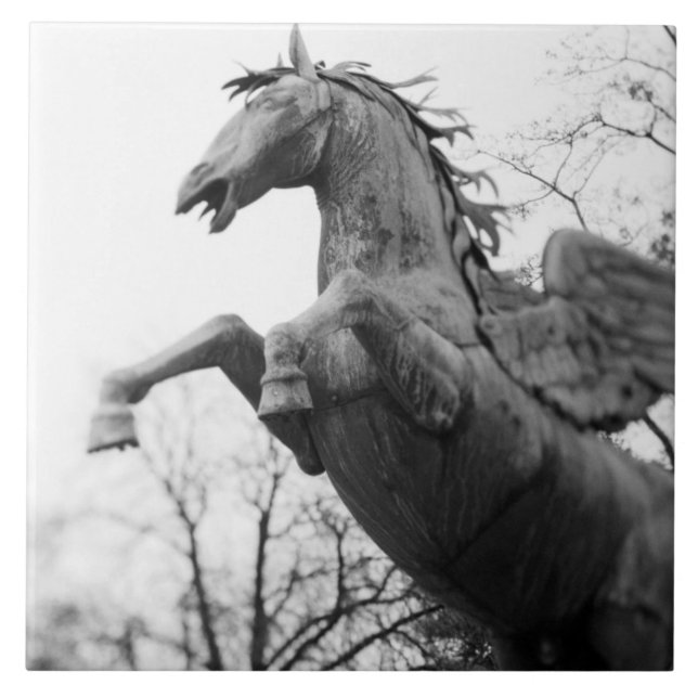 Europa, Österrike, Salzburg. Winged horse statue Kakelplatta (Framsidan)