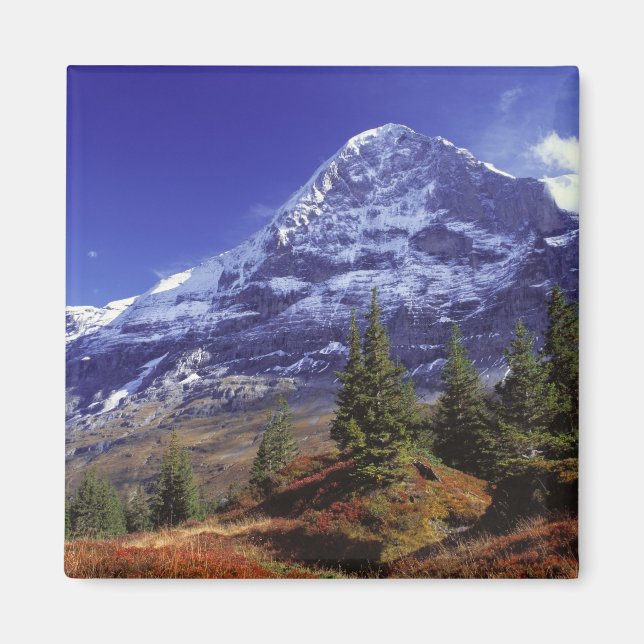 Europa, Schweiz, Eiger. Höst färger rikedom Magnet (Framsidan)