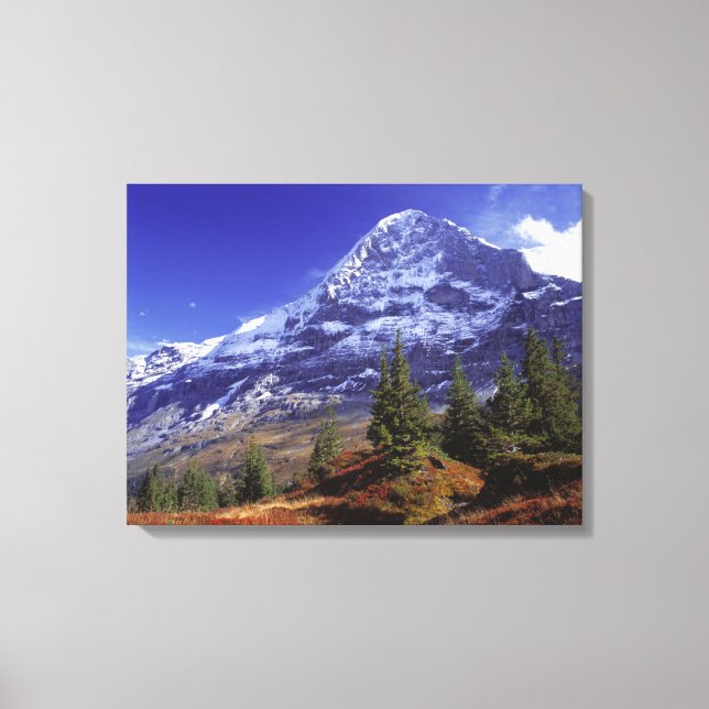 Europa, Schweiz, Eiger. Höstfärger överflöd Canvastryck (Framsida)