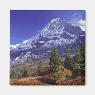 Europa, Schweiz, Eiger. Höstfärger överflöd Magnet