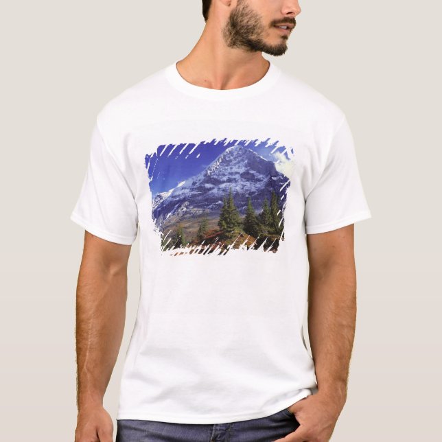 Europa, Schweiz, Eiger. Höstfärger överflöd T Shirt (Framsida)