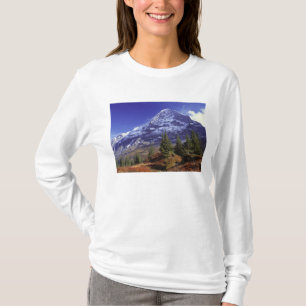 Europa, Schweiz, Eiger. Höstfärger överflöd Tröja