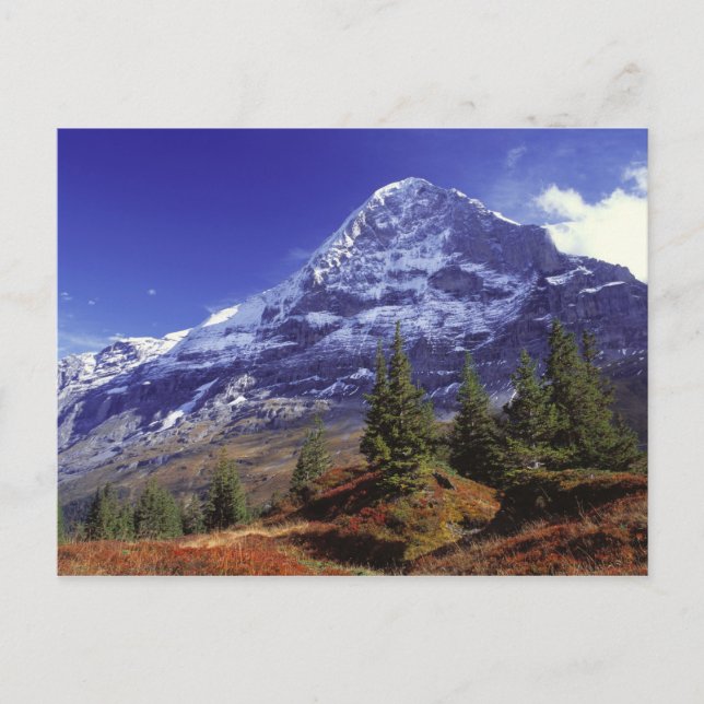 Europa, Schweiz, Eiger. Höstfärger överflöd Vykort (Framsida)