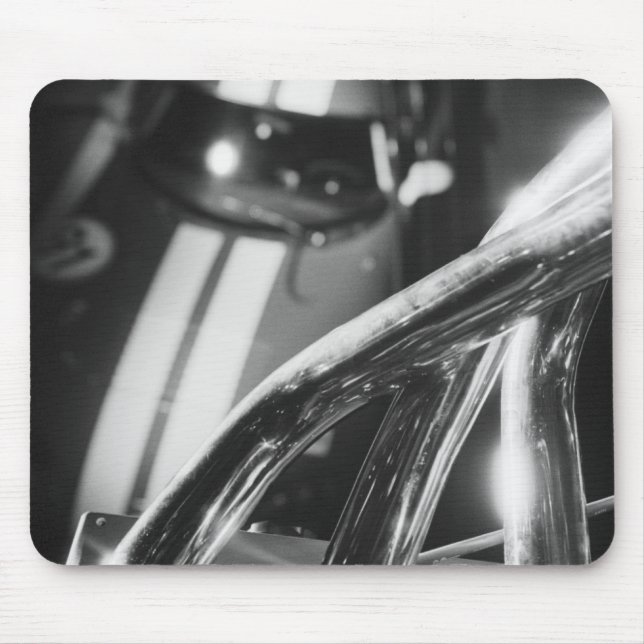 Europa, Schweiz, Genève. Motorvisning i Genève.4 Musmatta (Framsidan)