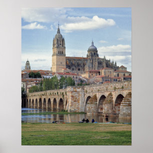 Europa, Spanien, Salamanca. Den romerska bron öve Poster