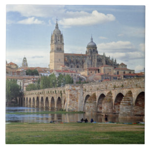 Europa, Spanien, Salamanca. Den romerska bron över Kakelplatta