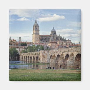 Europa, Spanien, Salamanca. Den romerska bron över Magnet