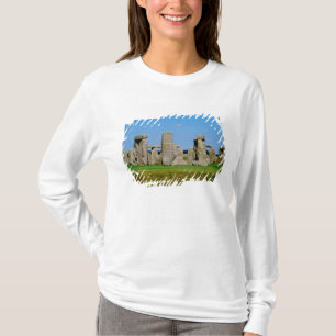 Europa, Storbritannien, England, Wiltshire, T Shirt