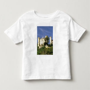 Europa, Tyskland, Bayern (Bavaria), Fussen. Tee