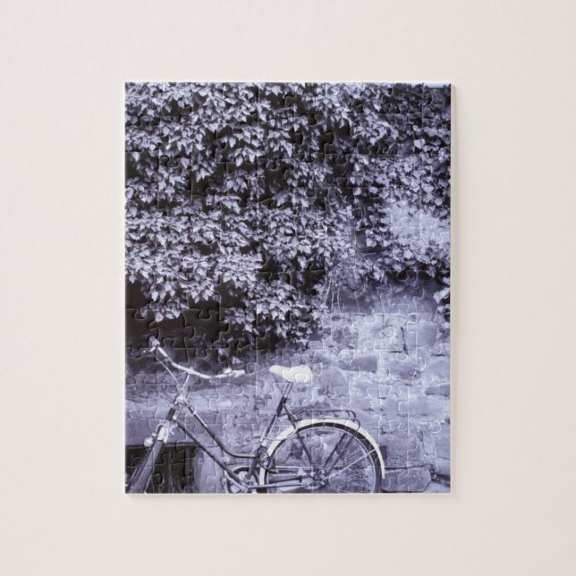 Europa, Tysklandare, Baden, Wurttemberg, Heidelber Pussel (Vertikal)