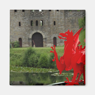 Europa, Wales, Cardiff. Cardiff Castle. Walisisk Magnet