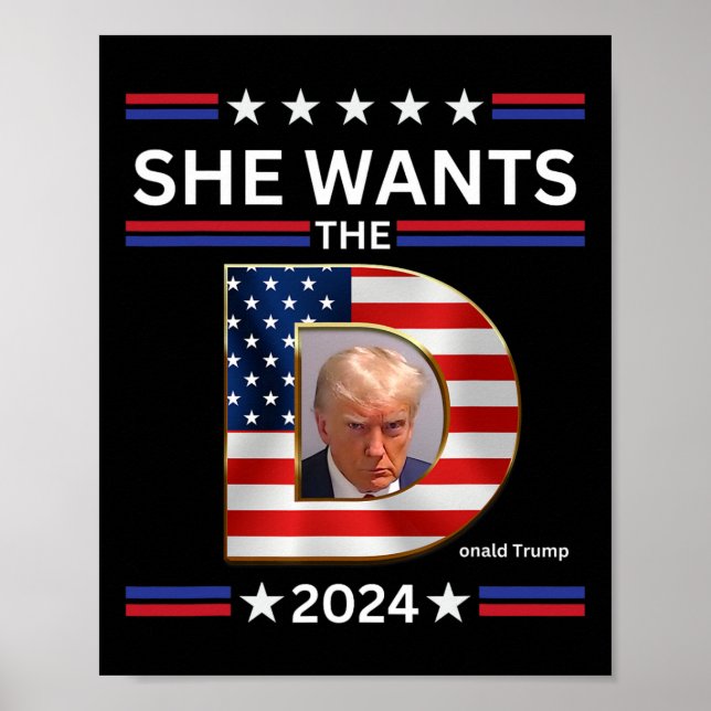 Europaparlamentet vill se presidentvalet 2024 i D  Poster (Framsidan)