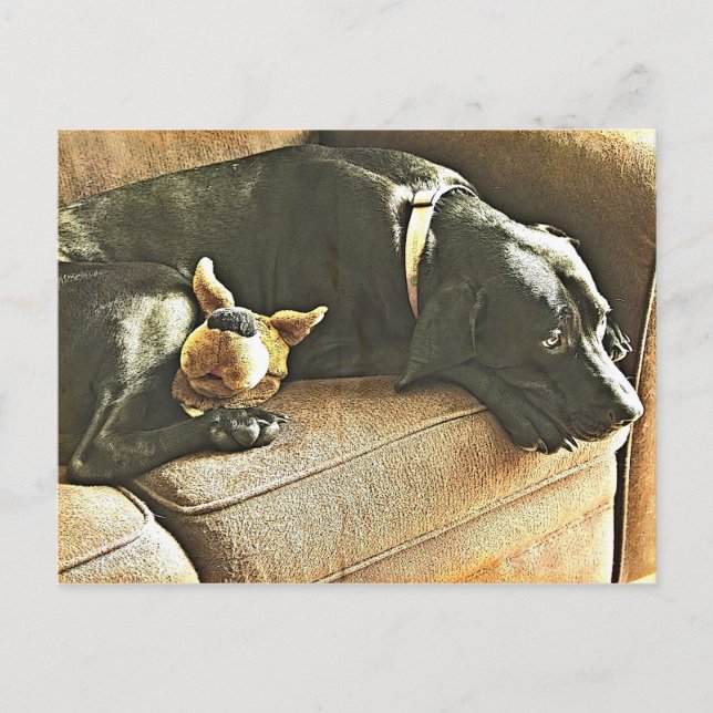 Europaparlamentet Vykort (Framsida)