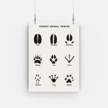 European Animal Tracks Set Poster