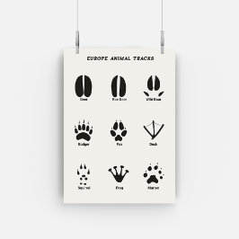 European Animal Tracks Set Poster