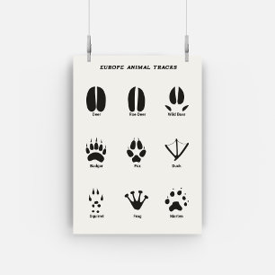 European Animal Tracks Set Poster