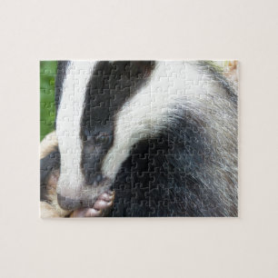 European Badger Ansikte Pussel