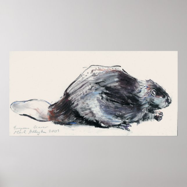 European Beaver Poster (Framsidan)