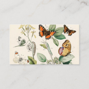 European Butterflies Moths William Forsell Kirby Visitkort