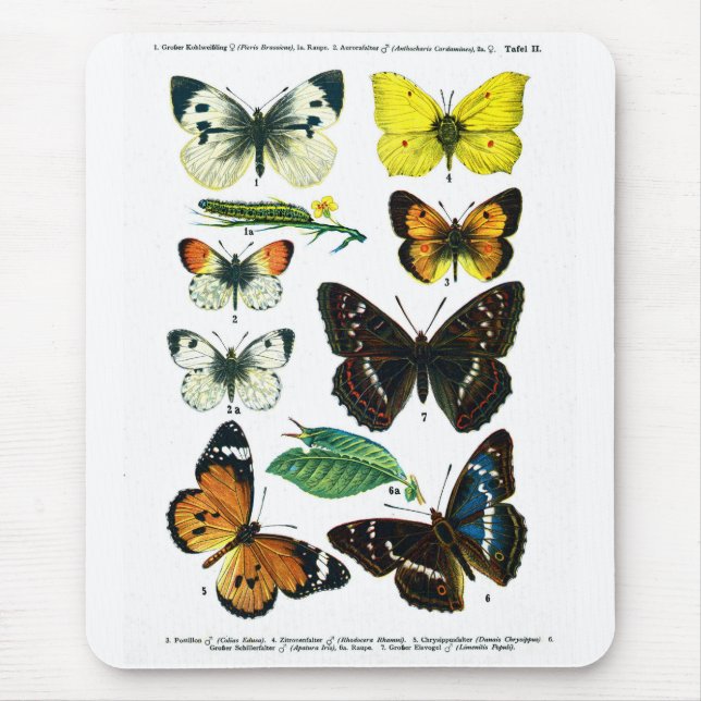 European Butterflies Plate II Mousepad Musmatta (Framsidan)