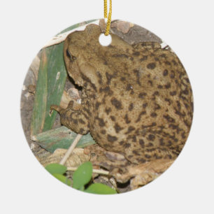 European Common Toad Anpassningsbar Birthday Julgransprydnad Keramik