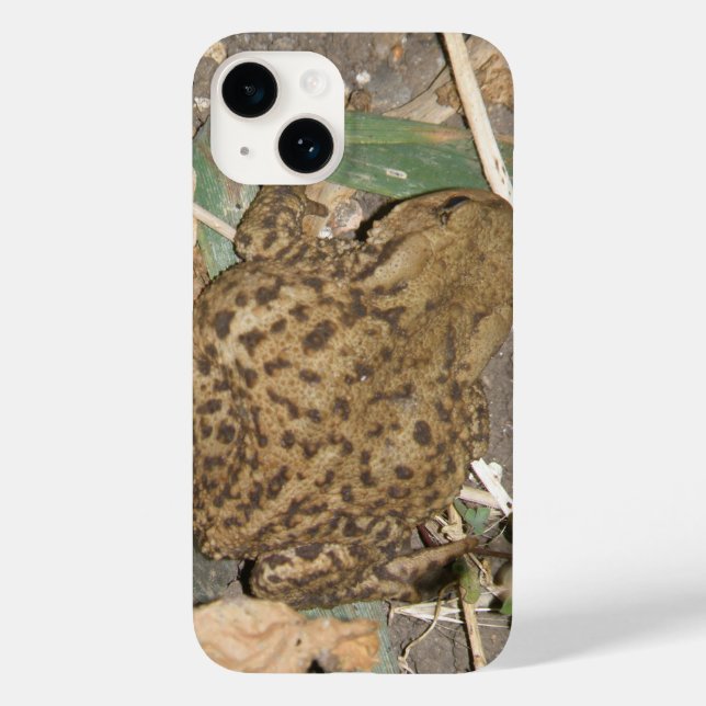 European Common Toad iPhone 5 Fodral (Baksida)