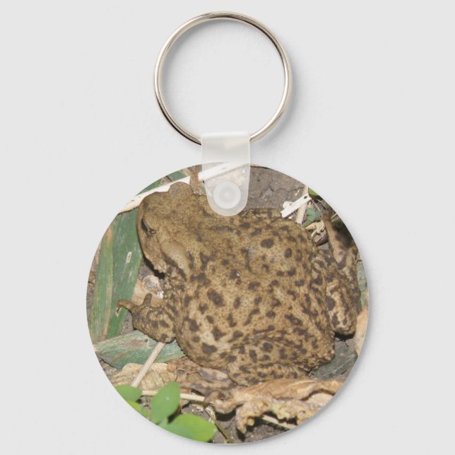 European Common Toad Keychain Nyckelring (Framsida)