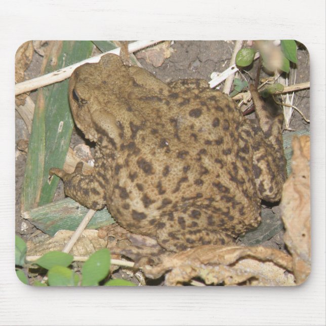 European Common Toad Mousepad Musmatta (Framsidan)