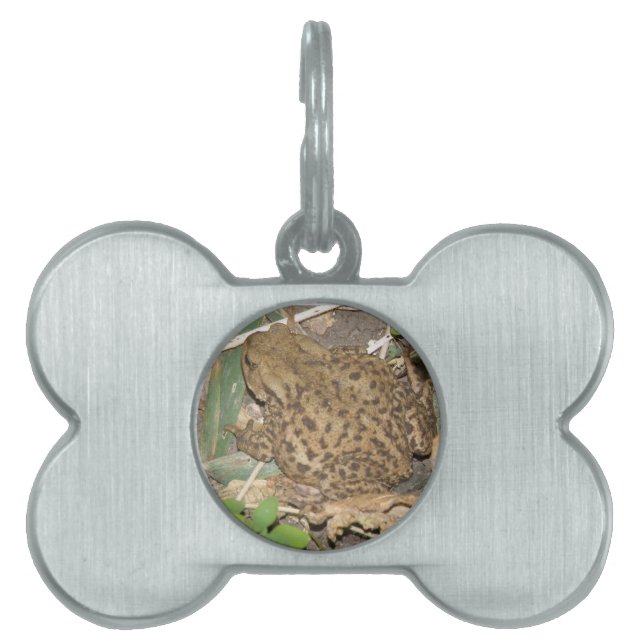 European Common Toad Pet Tag Namnbricka Husdjur (Framsidan)
