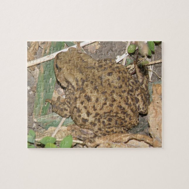 European Common Toad Puzzle Pussel (Horisontell)