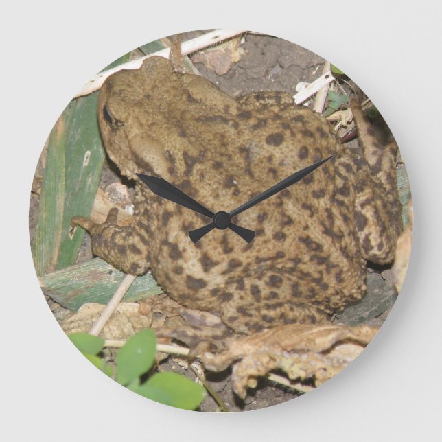 European Common Toad Wall Clock Stor Klocka (Framsida)