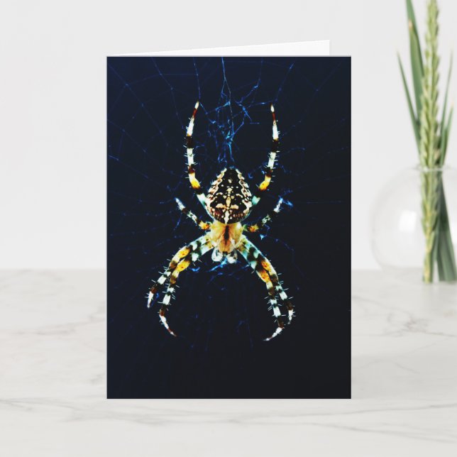 European Garden Spider Gccnm Kort (Framsida)