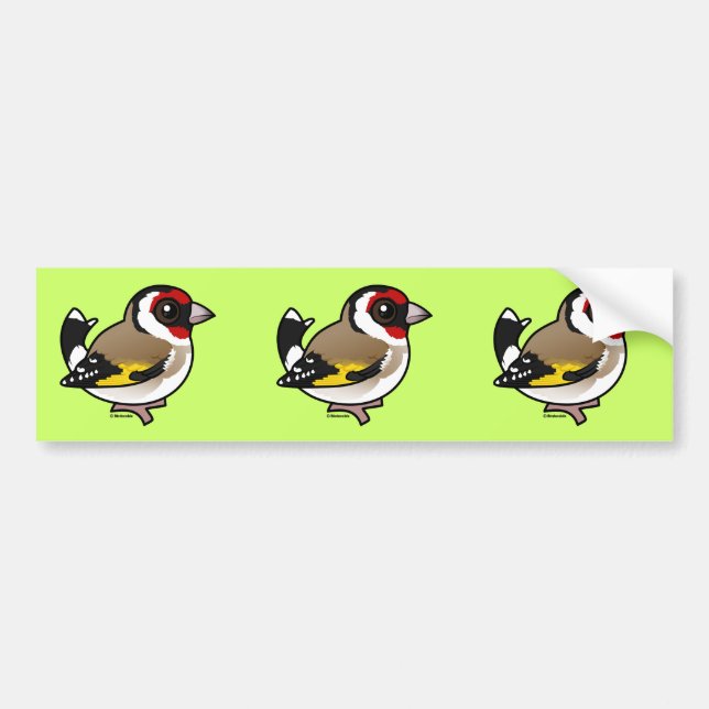 European Goldfinch Bildekal (Framsidan)
