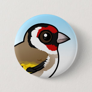European Goldfinch Knapp