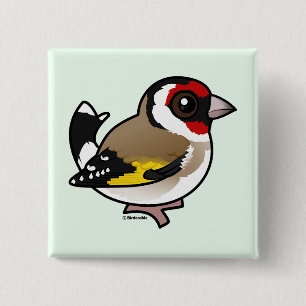 European Goldfinch Knapp