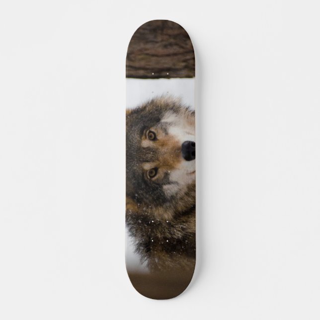 European grått varg mini skateboard bräda 18,5 cm (Framsida)